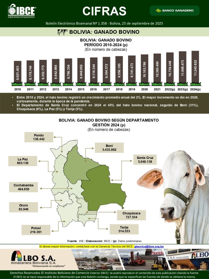 Bolivia: Ganado Bovino