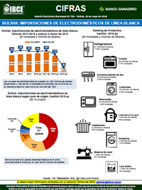 Bolivia: Importaciones de <br>electrodomésticos de línea blanca