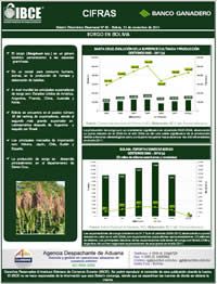 Sorgo en Bolivia