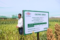 YPFB implementa parcelas en campo para demostrar beneficios de la urea en el agro 