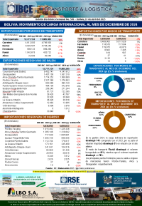Movimiento de Carga Internacional al mes de diciembre de 2024