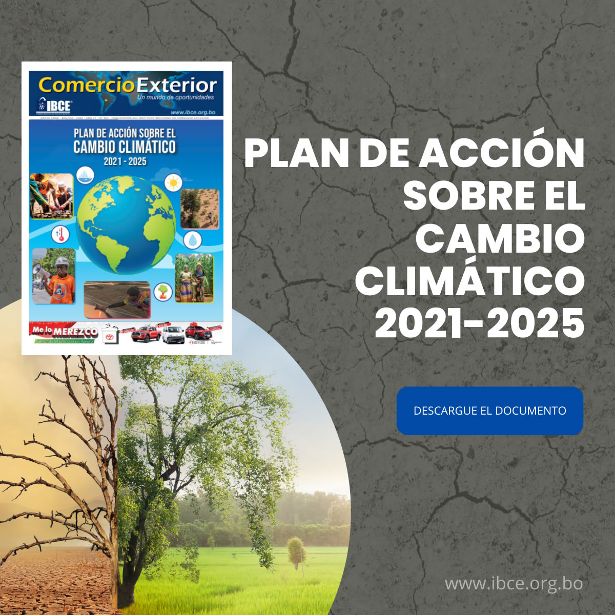 PLAN DE ACCIÓN SOBRE EL CAMBIO CLIMÁTICO 2021-2025