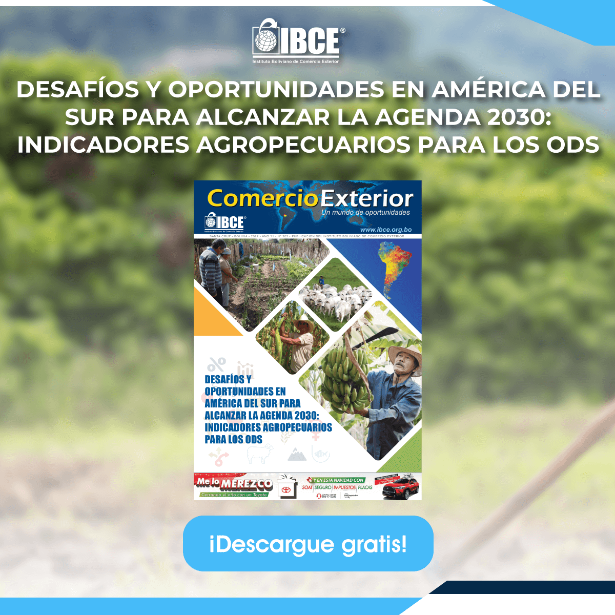 Desafíos y Oportunidades en América del Sur para alcanzar la Agenda 2030: Indicadores Agropecuarios para los ODS