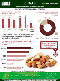 Bolivia: Exportaciones de Castaña - Boletín IBCE Cifras